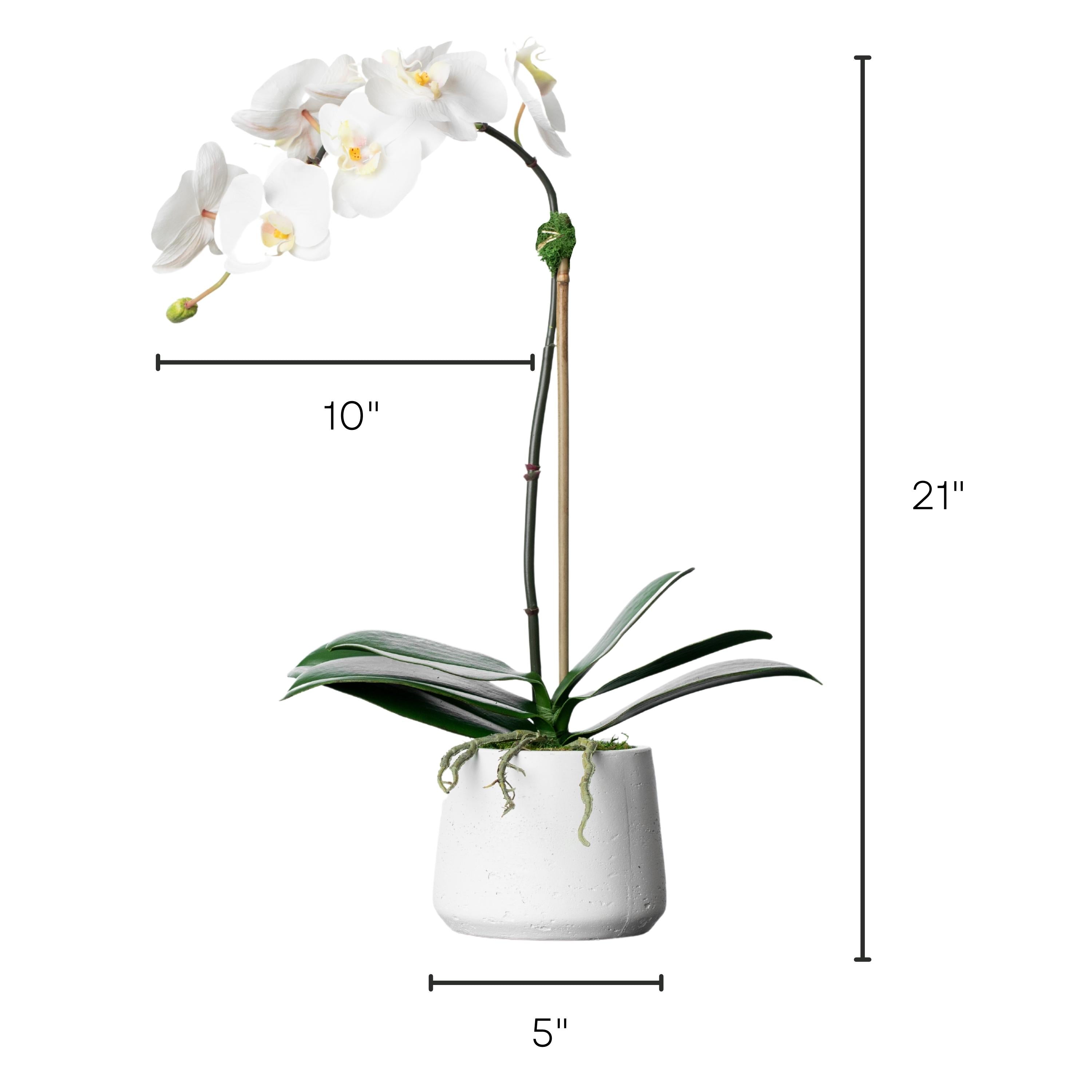 Artificial Orchid Plant - White Orchid in White Pot - 21