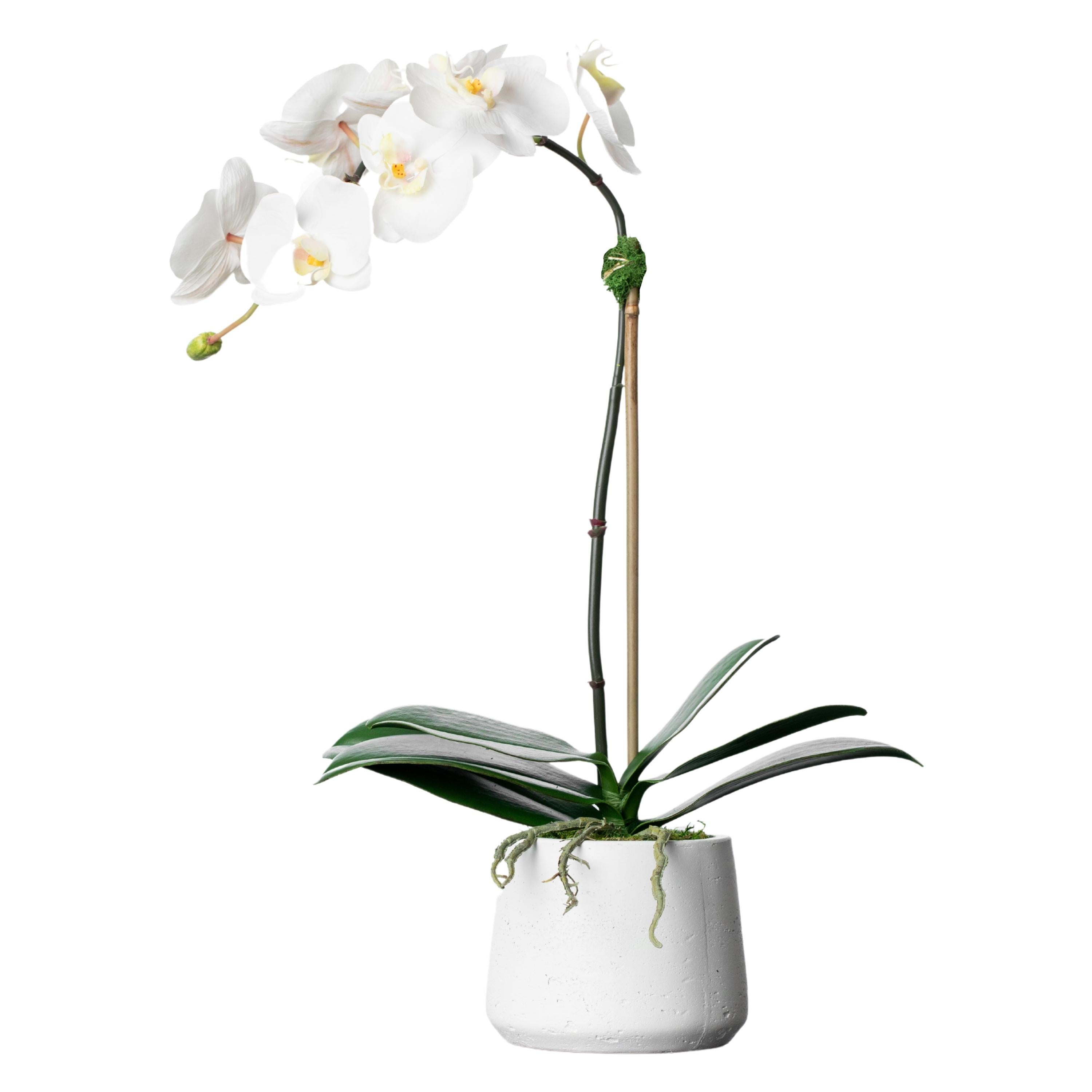 Artificial Orchid Plant - White Orchid in White Pot - 21