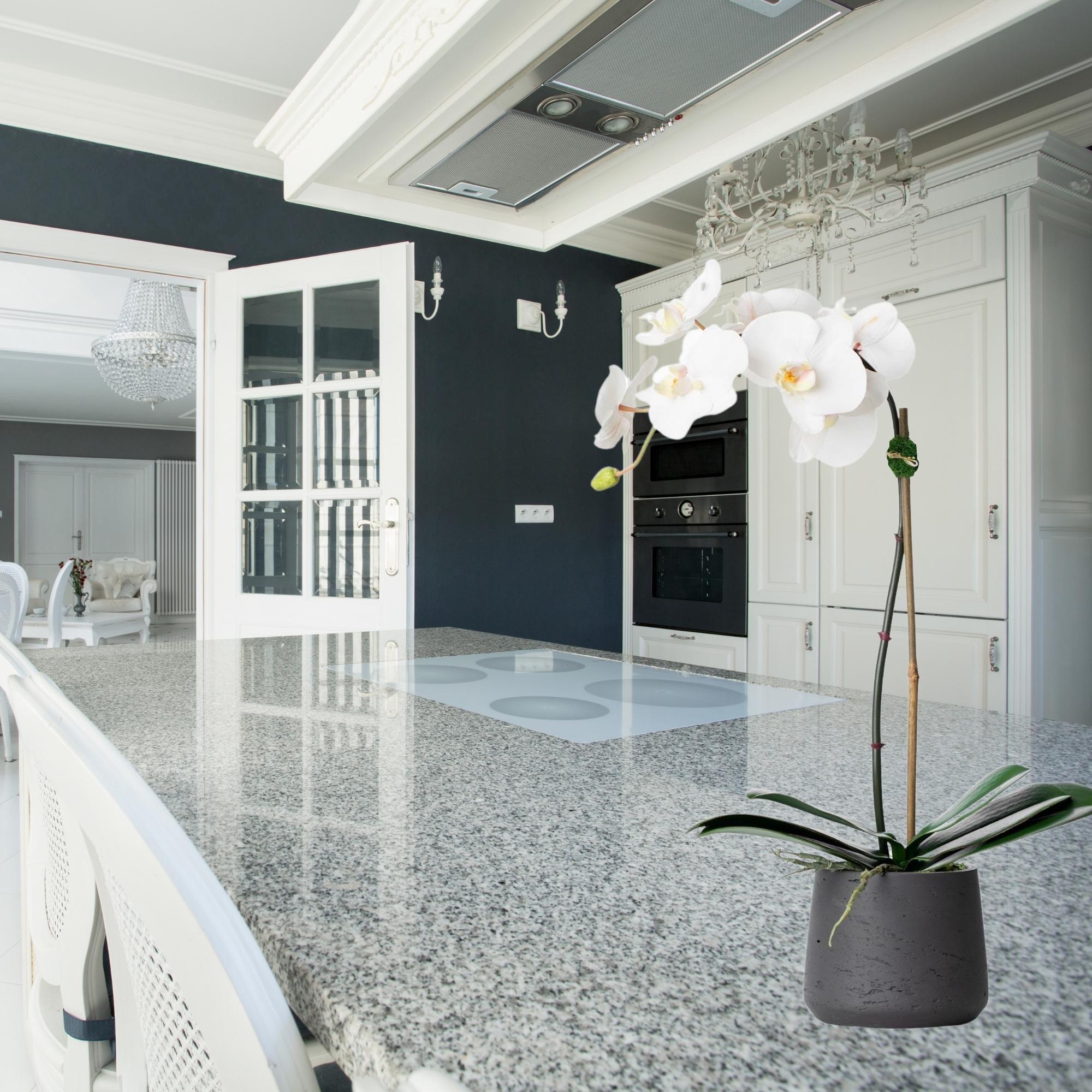 Faux Potted Orchid Plant - White Phalaenopsis Orchid in Black Pot - 21