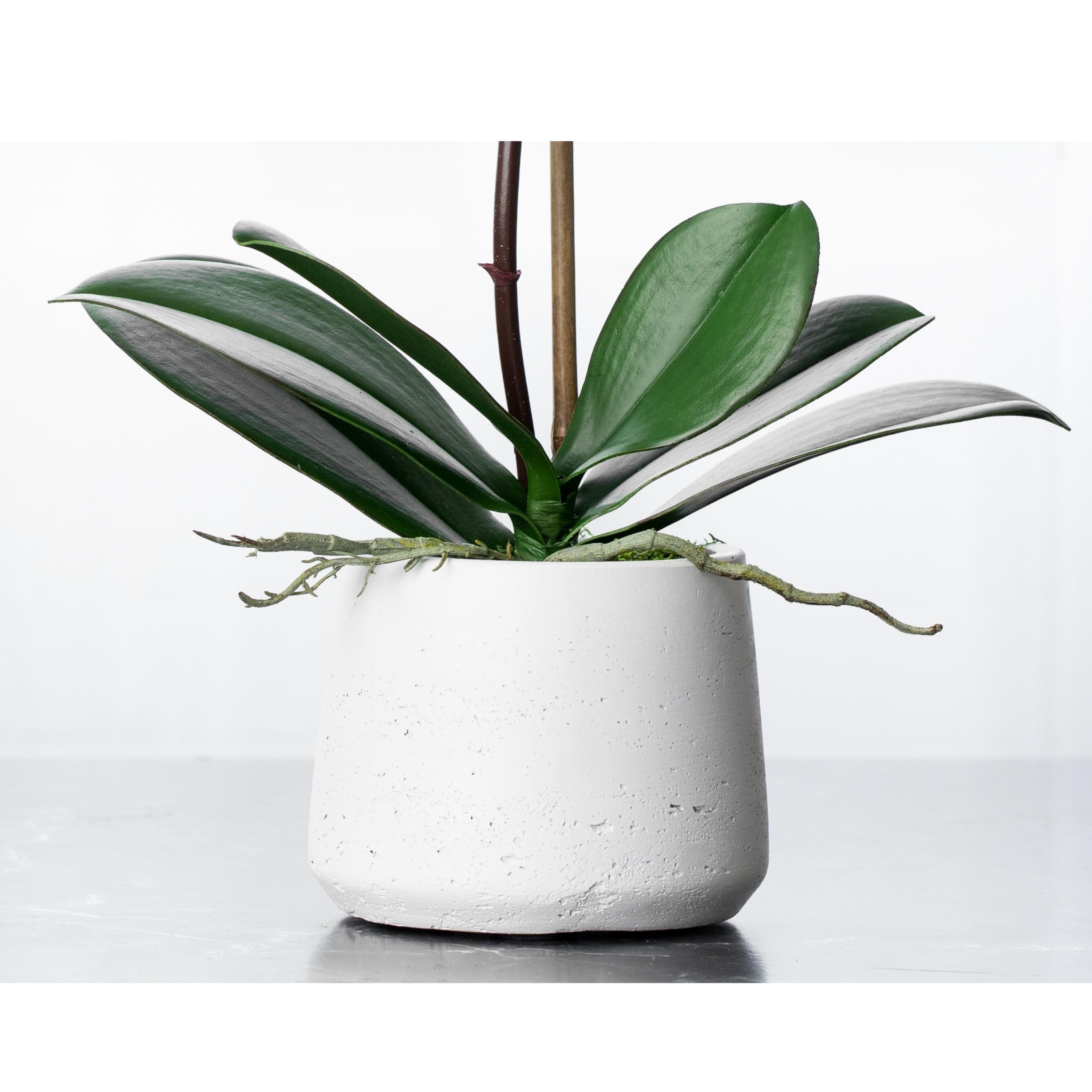 Artificial Orchid Plant - White Orchid in White Pot - 21