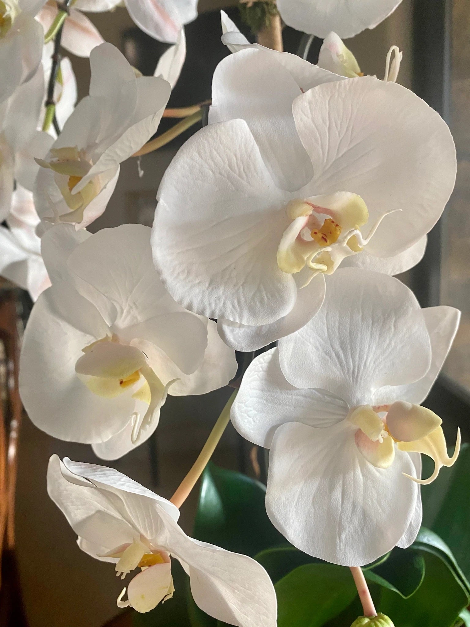 Artificial Orchid Plant - White Orchid in White Pot - 21"